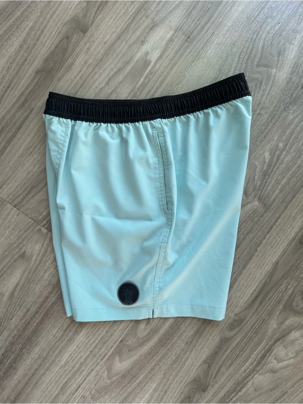 chubbies | Ultimate Training 5.5" Shorts in Light Aqua with Black Waistband (S) - Picture 9 of 10